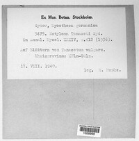 Image Associated With the Occurence